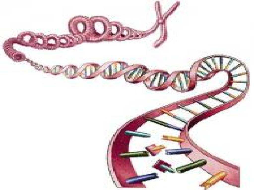 Imagen El poder curativo de la palabra ¿El ADN pude ser modificado?
